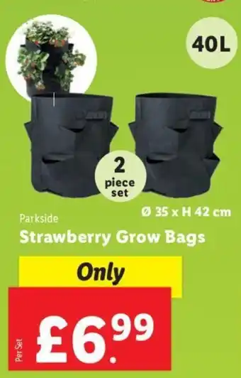 Lidl Parkside Strawberry Grow Bags offer