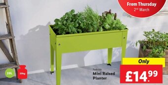 Lidl Mini Raised Planter offer