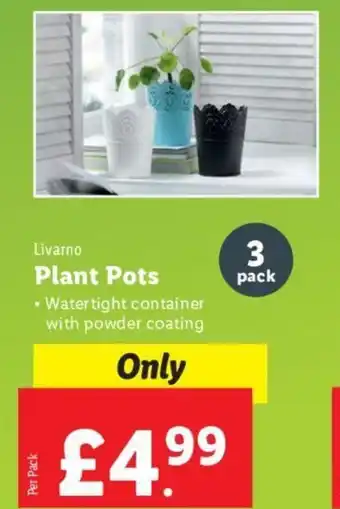 Lidl Livarno Plant Pots offer