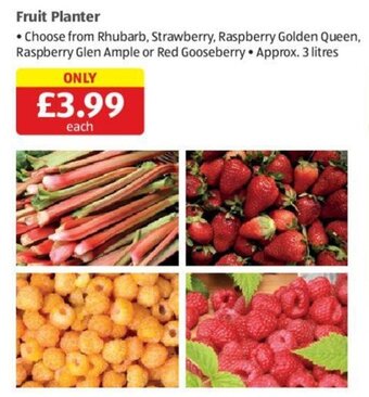 Aldi Fruit Planter offer