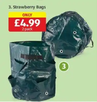 Aldi Strawberry Bags 2 Pack offer