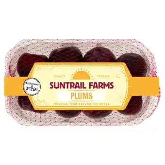 Tesco Suntrail farms ripen at home plum 400g offer