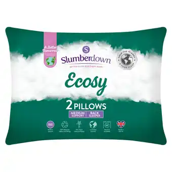 Tesco Slumberdown ecosy pillow pair offer