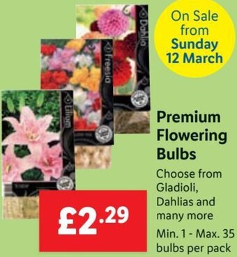 Lidl Premium Flowering Bulbs offer