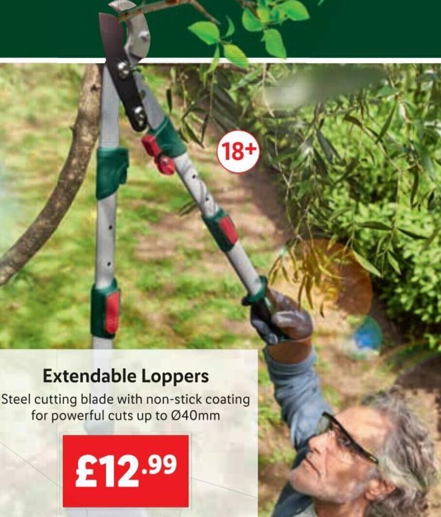 Extendable Loppers offer at Lidl
