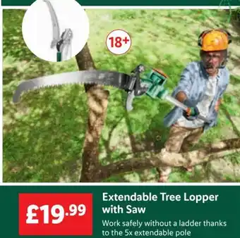 Lidl Extendable Tree Looper with Saw offer