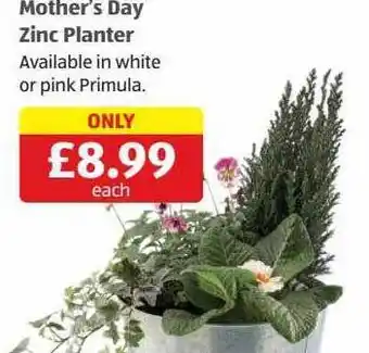 Aldi Mother's day zinc planter offer