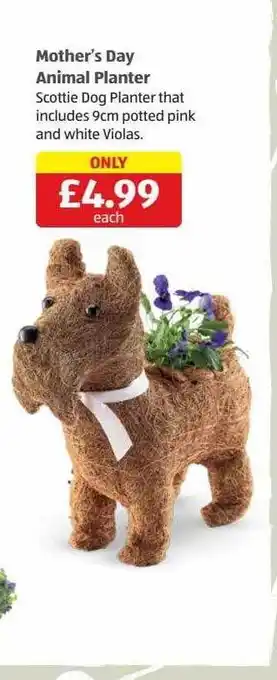 Aldi Mother's day animal planter offer