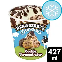 Tesco Ben & jerry's sundae cookie vermonster 427ml offer