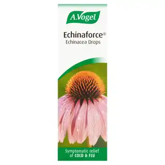 Tesco Echinaforce echinacea drops 15ml offer