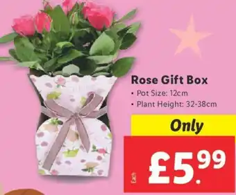 Lidl Rose Gift Box offer