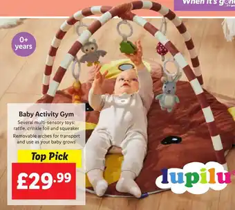 Lidl Baby Activity Gym offer