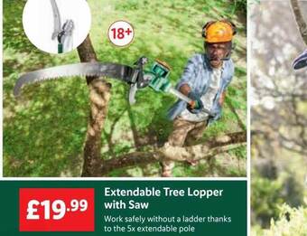 Lidl Extendable tree lopper with saw offer