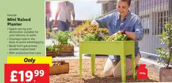 Lidl Parkside Mini Raised Planter offer