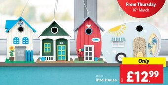 Lidl Zoofari Bird House offer