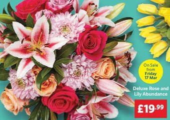 Lidl Deluxe Rose and Lily Abundance offer