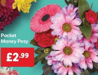 Lidl Pocket Money Posy offer
