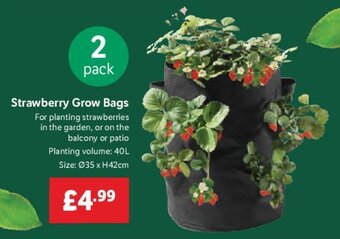 Lidl Strawberry Grow Bags offer