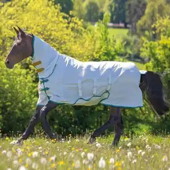 Ride-Away Shires tempest plus sweet itch combo fly rug - white offer
