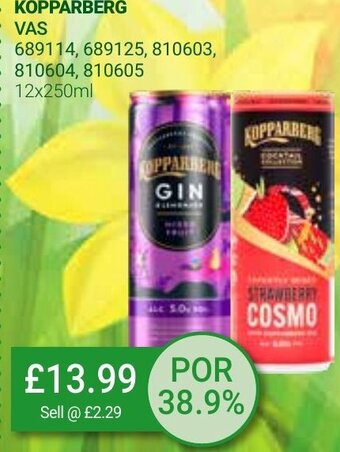 Bestway Kopparberg 12x250ml offer