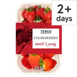 Tesco Tesco strawberries 227g offer