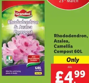 Lidl Grandiol Rhododendron, Azalea Camellia Compost 60L offer
