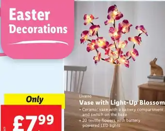 Lidl Livarno Vase with Light -Up Blossom offer