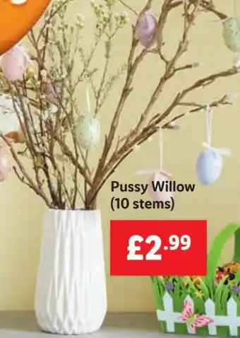 Lidl Pussy Willow offer