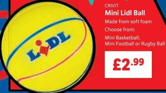 Lidl Crivit Mini Lidl Ball offer