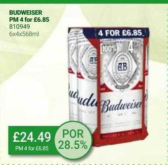 Bestway Budweiser offer