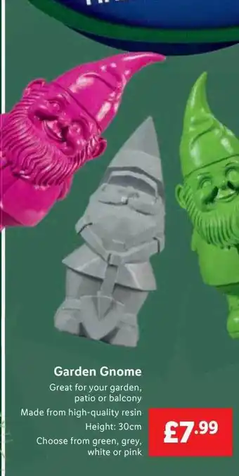 Lidl Garden gnome offer