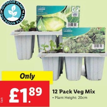 Lidl 12 Pack Veg Mix offer