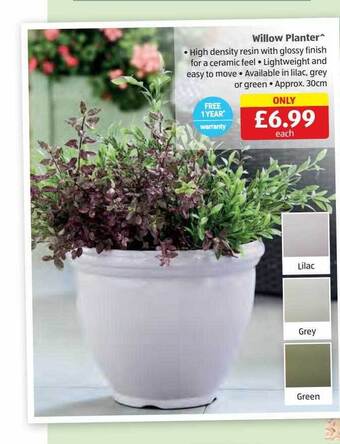 Aldi Willow planter offer