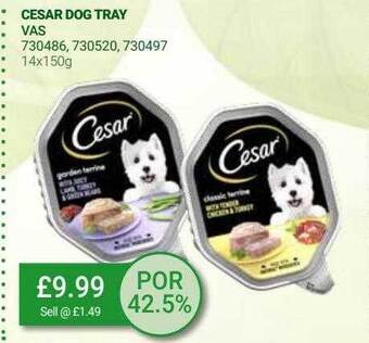 Bestway Cesar dog tray offer