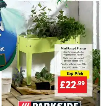 Lidl Mini raised planter offer