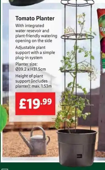 Lidl Tomato planter offer