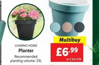 Lidl Livarno home planter offer