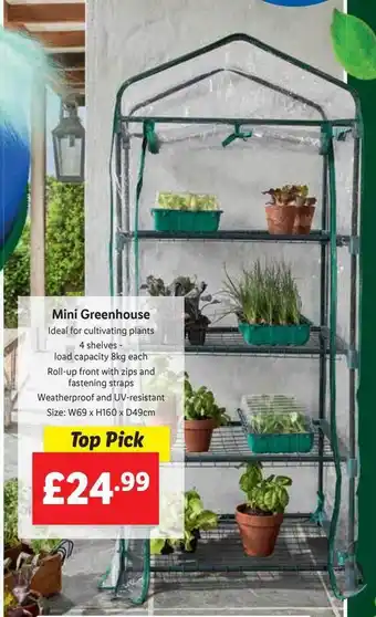 Lidl Mini greenhouse offer