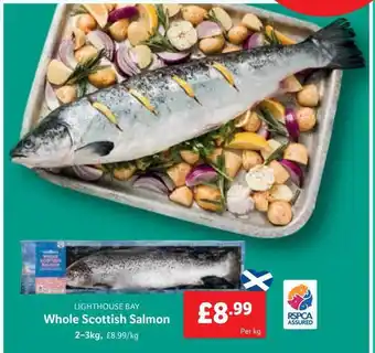 Lidl Lighthouse bay whole scottish salmon offer