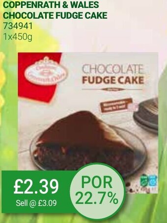 Bestway Coppenrath & Wales Chocolates Fudge Cake 1x450g offer