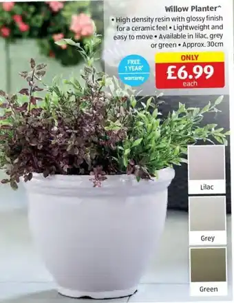 Aldi Willow Planter offer