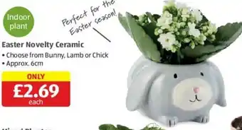 Aldi Easter Novelty Ceramic offer