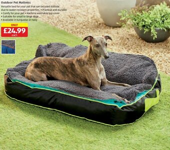 Aldi Outdoor Pet Mattress offer