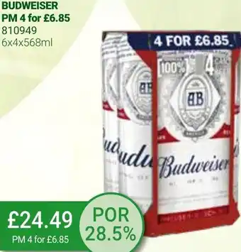Bestway Budweiser 6x4x568ml offer