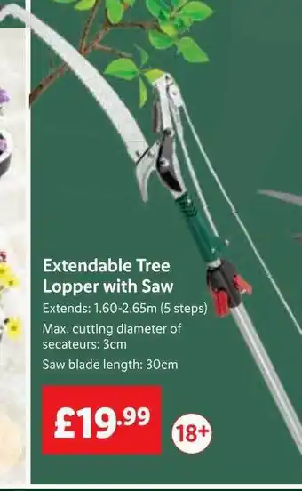 Lidl Extendable tree lopper with saw offer