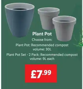 Lidl Plant pot offer
