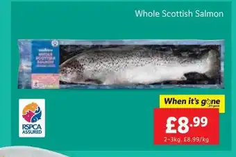 Lidl Whole scottish salmon offer