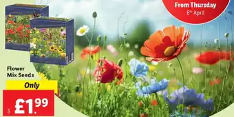 Lidl Flower Mix Seeds offer