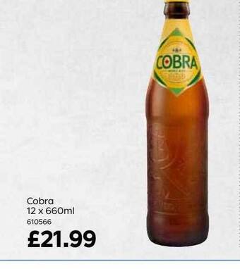 Bestway Cobra offer