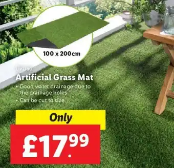 Lidl Livarno Artificial Grass Mat 100 x 200 cm offer
